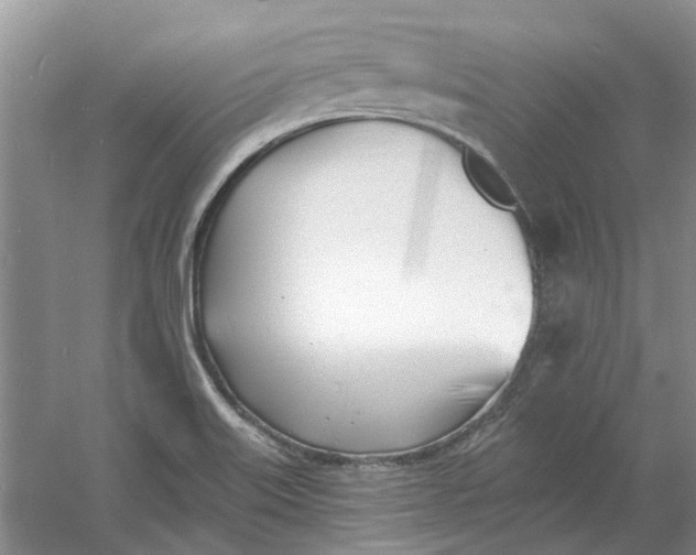 X0000060741515200512011406