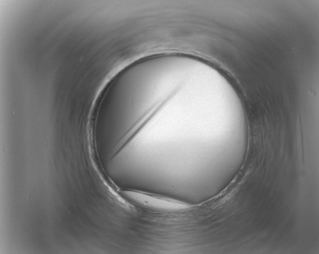 X0000060741517200512011406