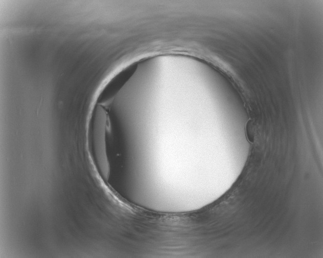 X0000060741520200512011406