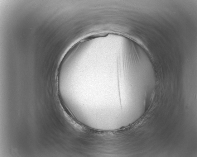 X0000060741524200512011406