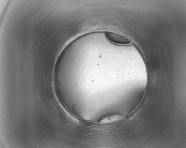 X0000060741525200512011406