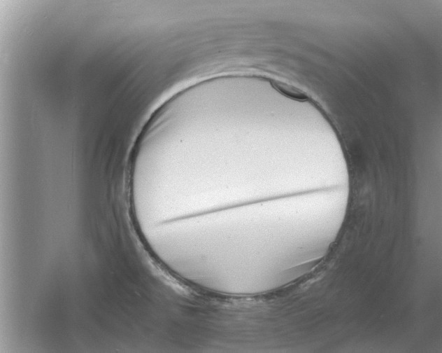 X0000060741526200512011406