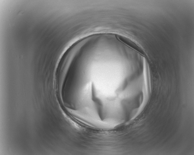 X0000060741527200512011406