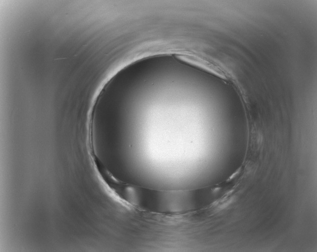 X0000060741528200512011406