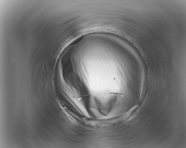 X0000060741529200512011406