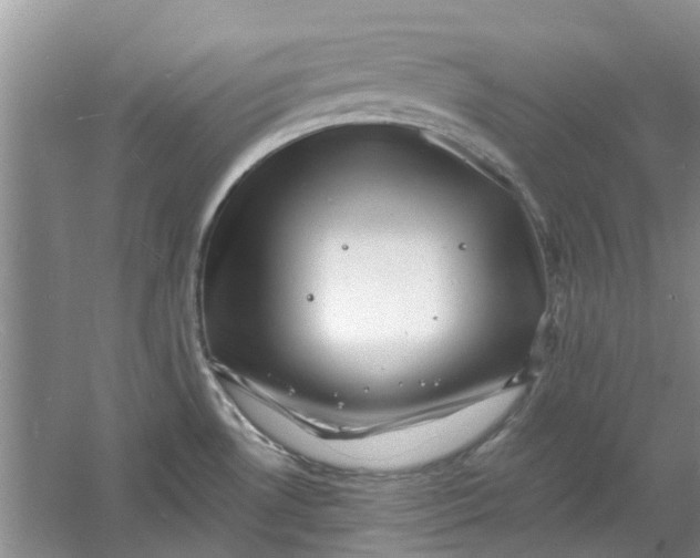 X0000060741530200512011406