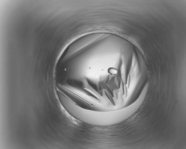 X0000060741532200512011406