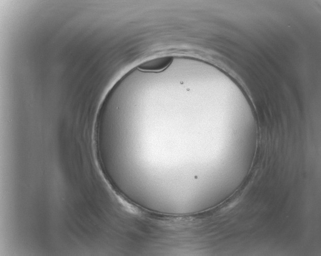 X0000060741533200512011406