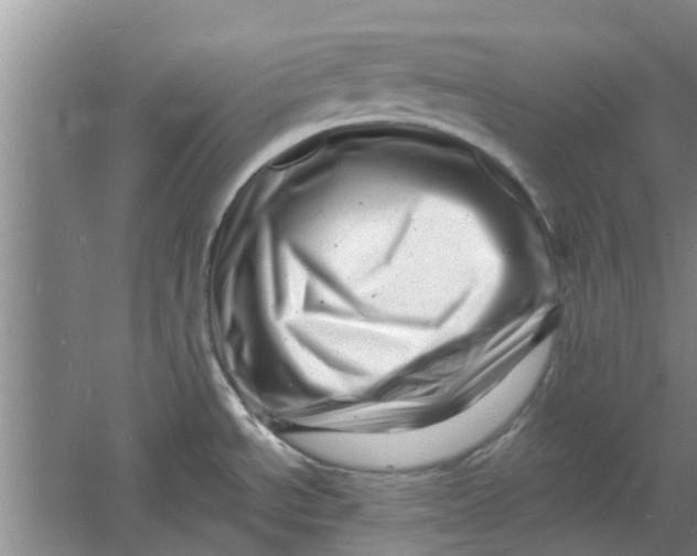 X0000060741534200512011406