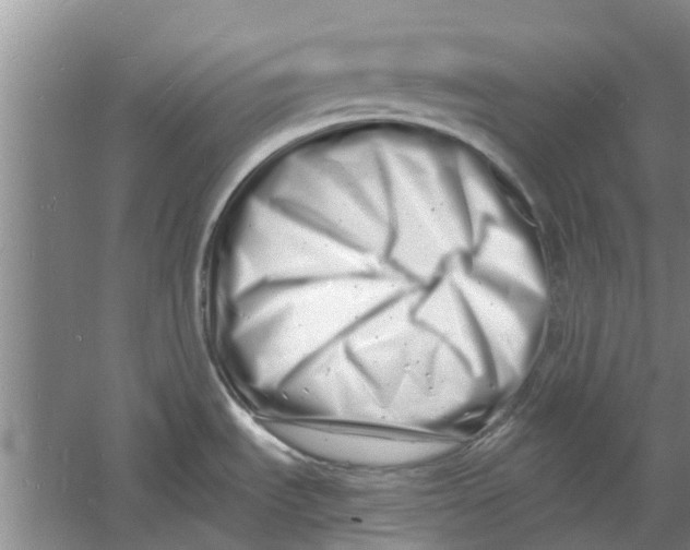 X0000060741535200512011406