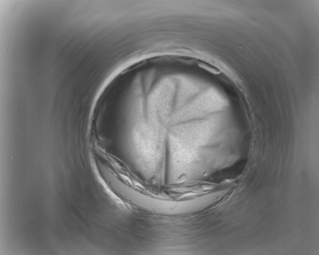 X0000060741536200512011406