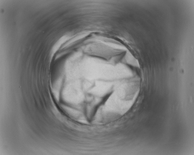 X0000060740003200512081929