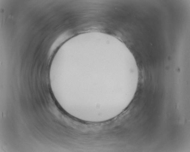 X0000060740004200512081929