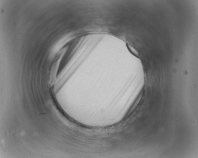 X0000060740005200512081929