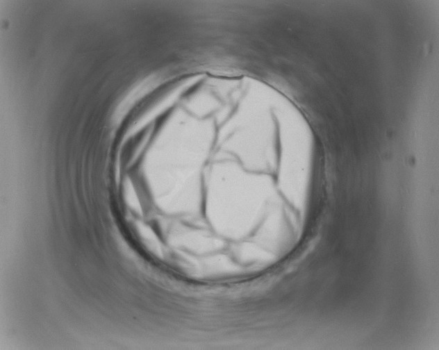 X0000060740007200512081929