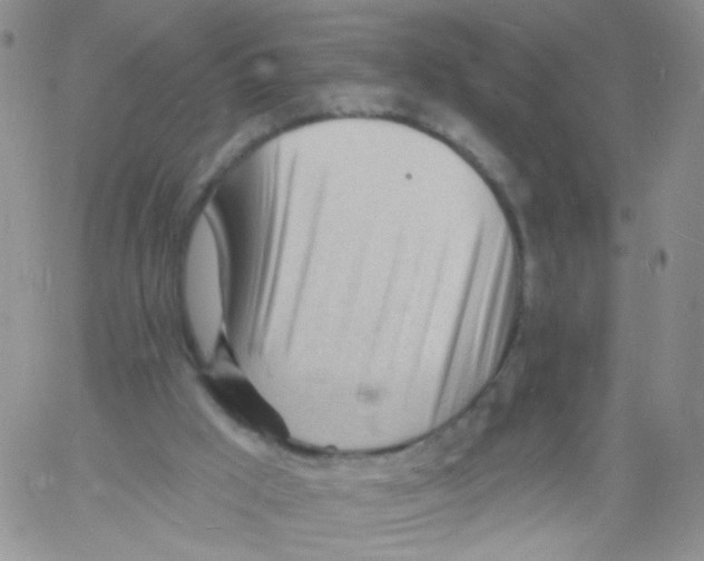 X0000060740009200512081929