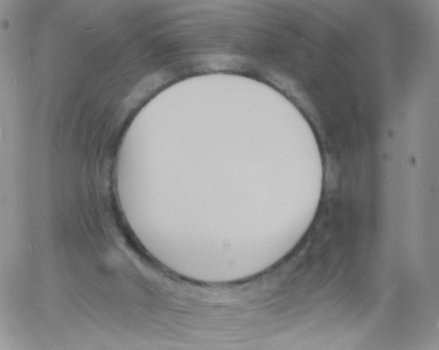 X0000060740010200512081929