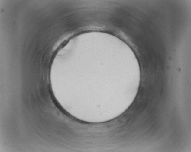 X0000060740011200512081929