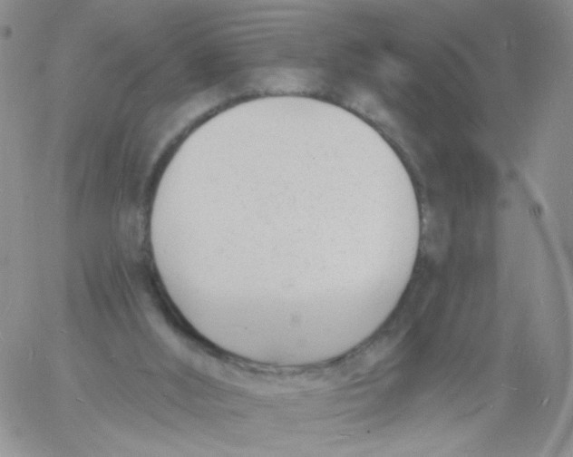 X0000060740012200512081929