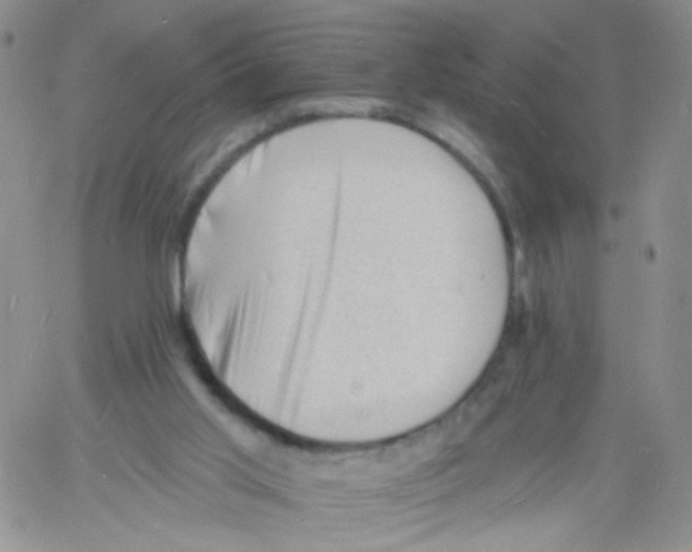 X0000060740013200512081929