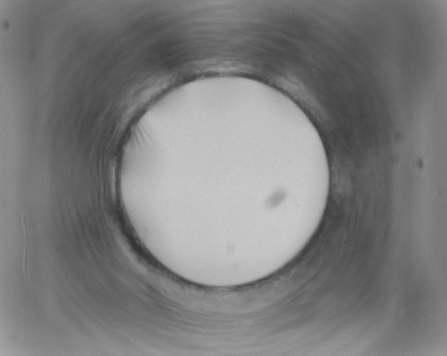 X0000060740014200512081929