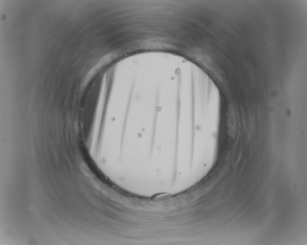 X0000060740015200512081929