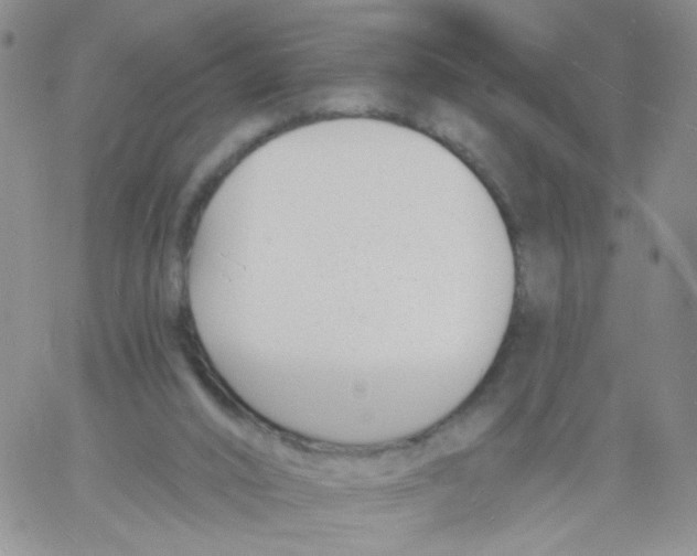 X0000060740016200512081929