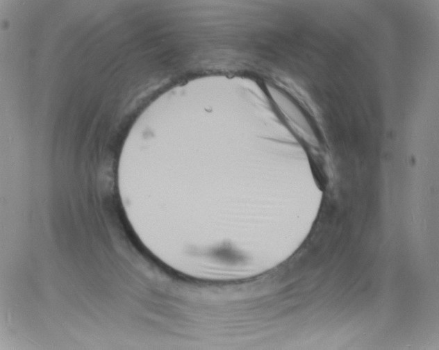 X0000060740017200512081929