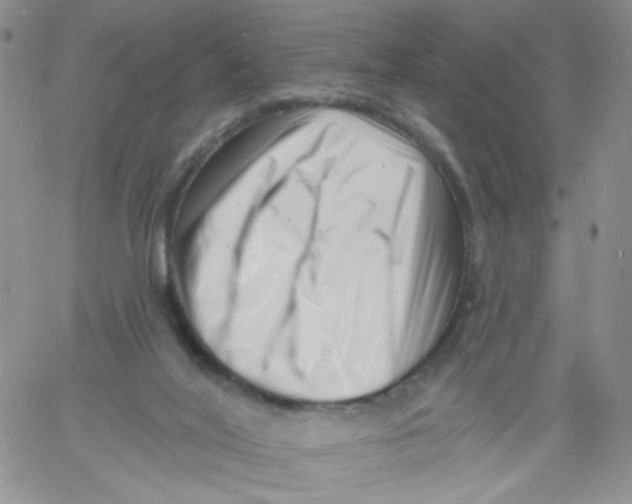 X0000060740020200512081929