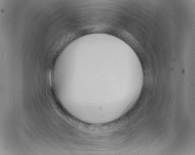 X0000060740022200512081929