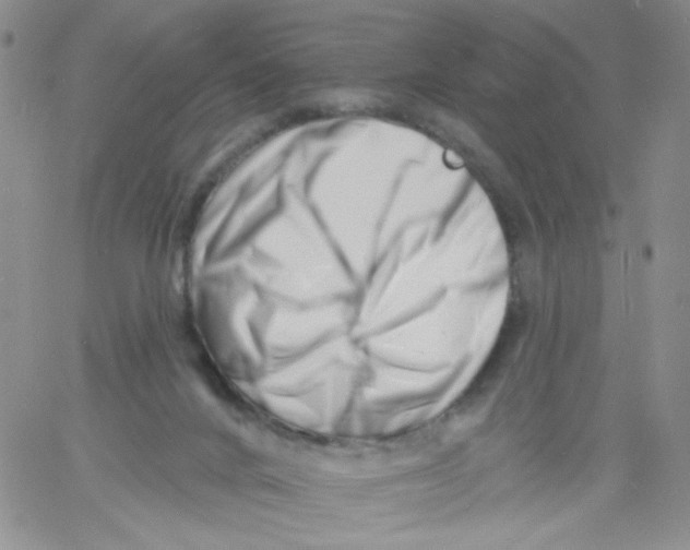 X0000060740024200512081929