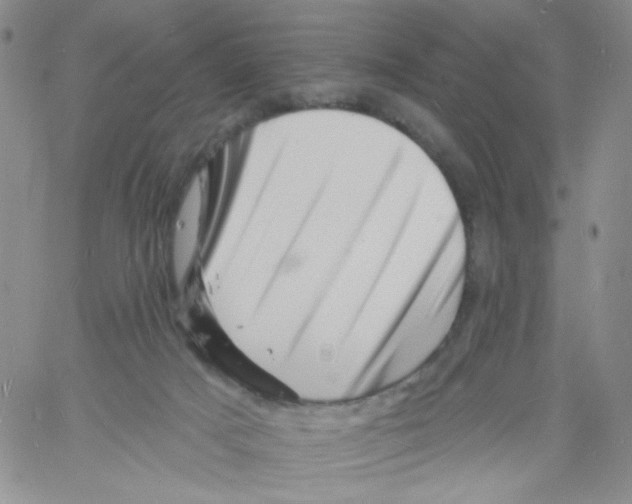 X0000060740025200512081929