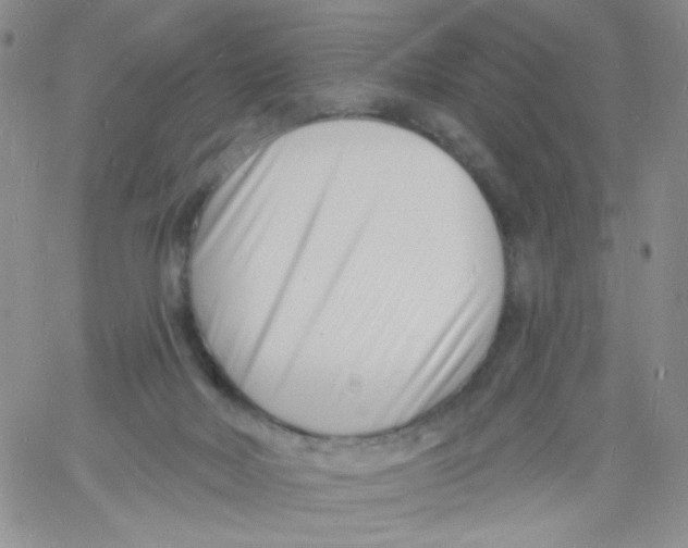 X0000060740026200512081929