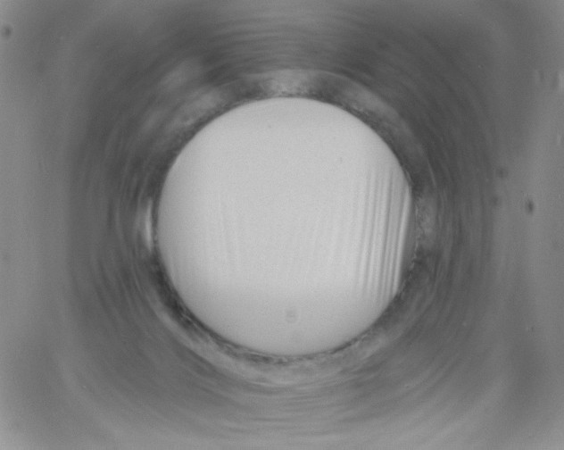 X0000060740028200512081929