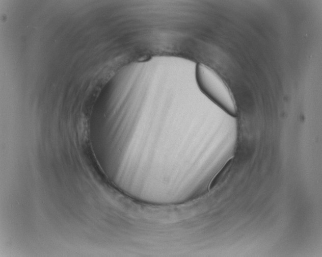 X0000060740029200512081929