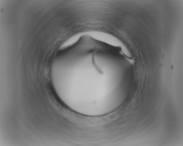 X0000060740031200512081929