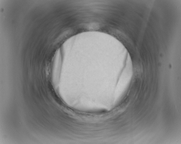 X0000060740032200512081929