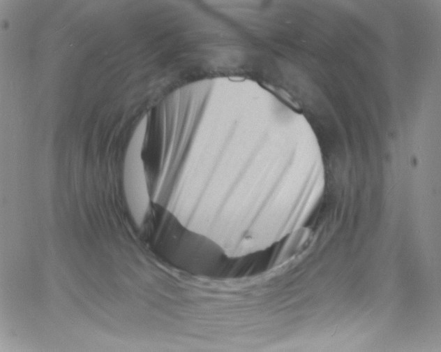 X0000060740033200512081929