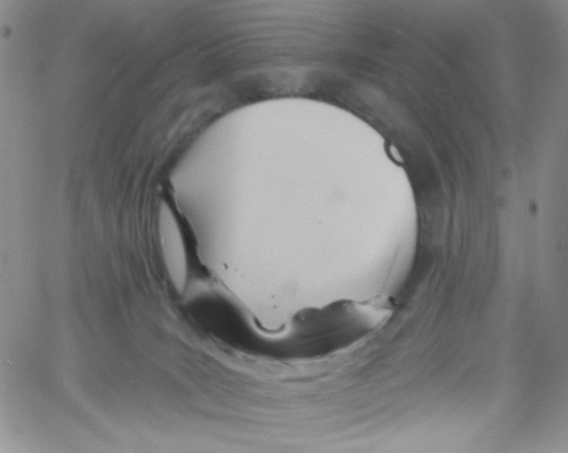 X0000060740035200512081929