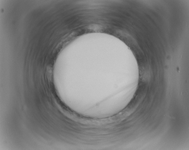 X0000060740036200512081929