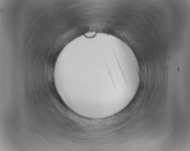 X0000060740038200512081929