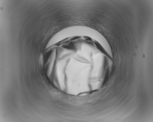 X0000060740041200512081929