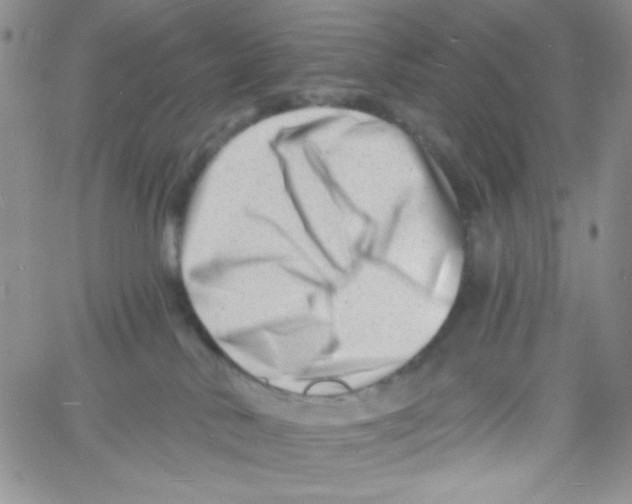 X0000060740042200512081929