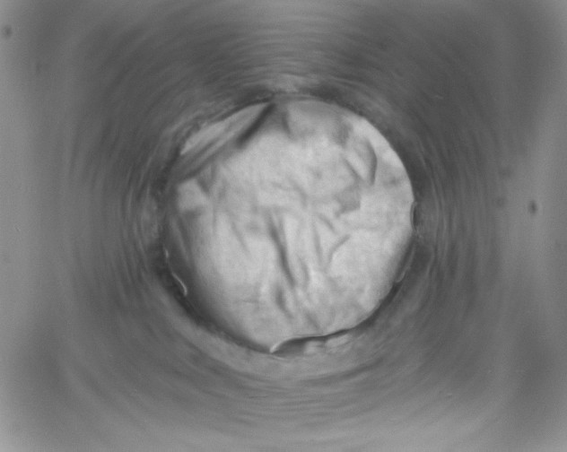 X0000060740043200512081929