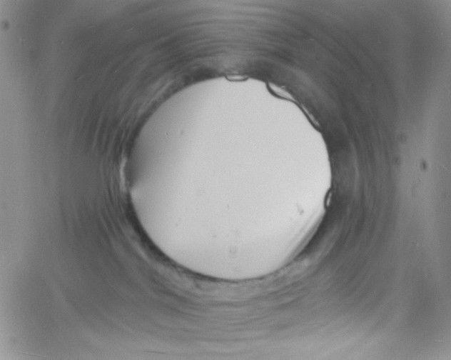 X0000060740044200512081929