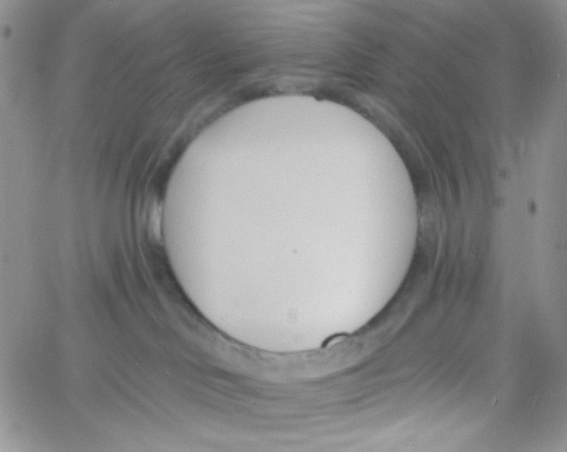 X0000060740046200512081929