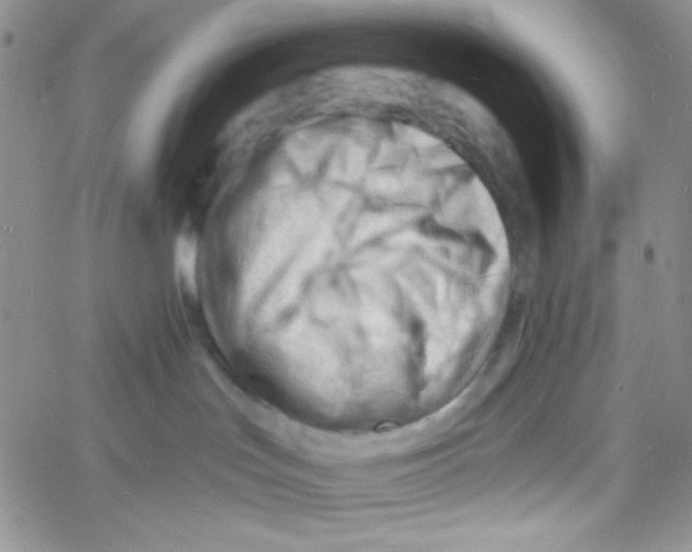 X0000060740047200512081929