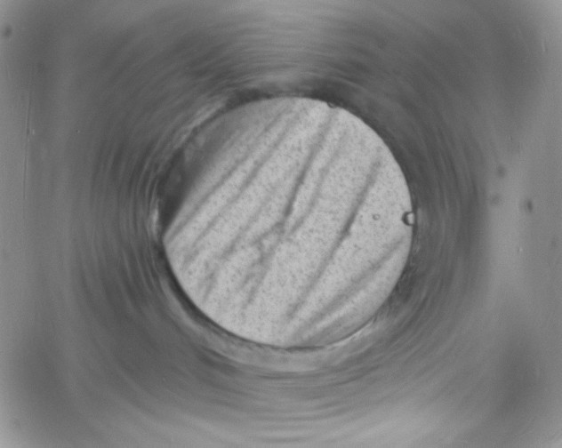 X0000060740048200512081929