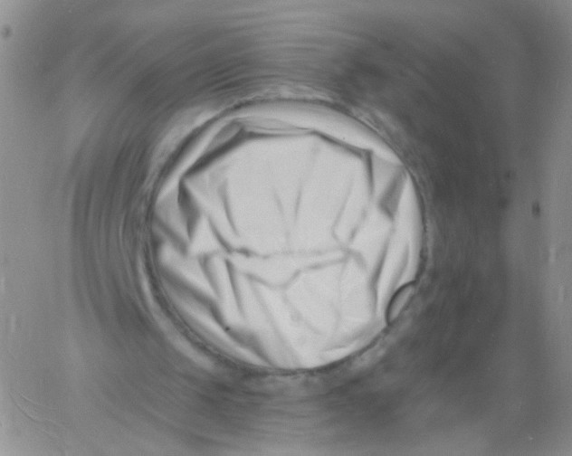 X0000060740049200512081928