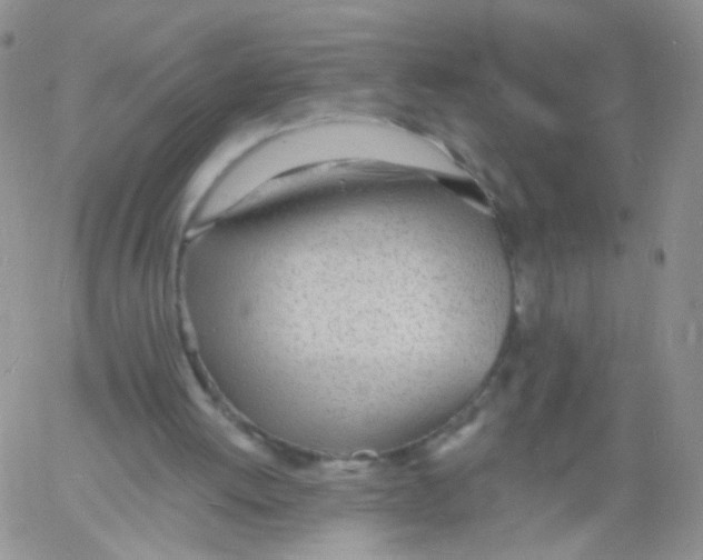 X0000060740052200512081928